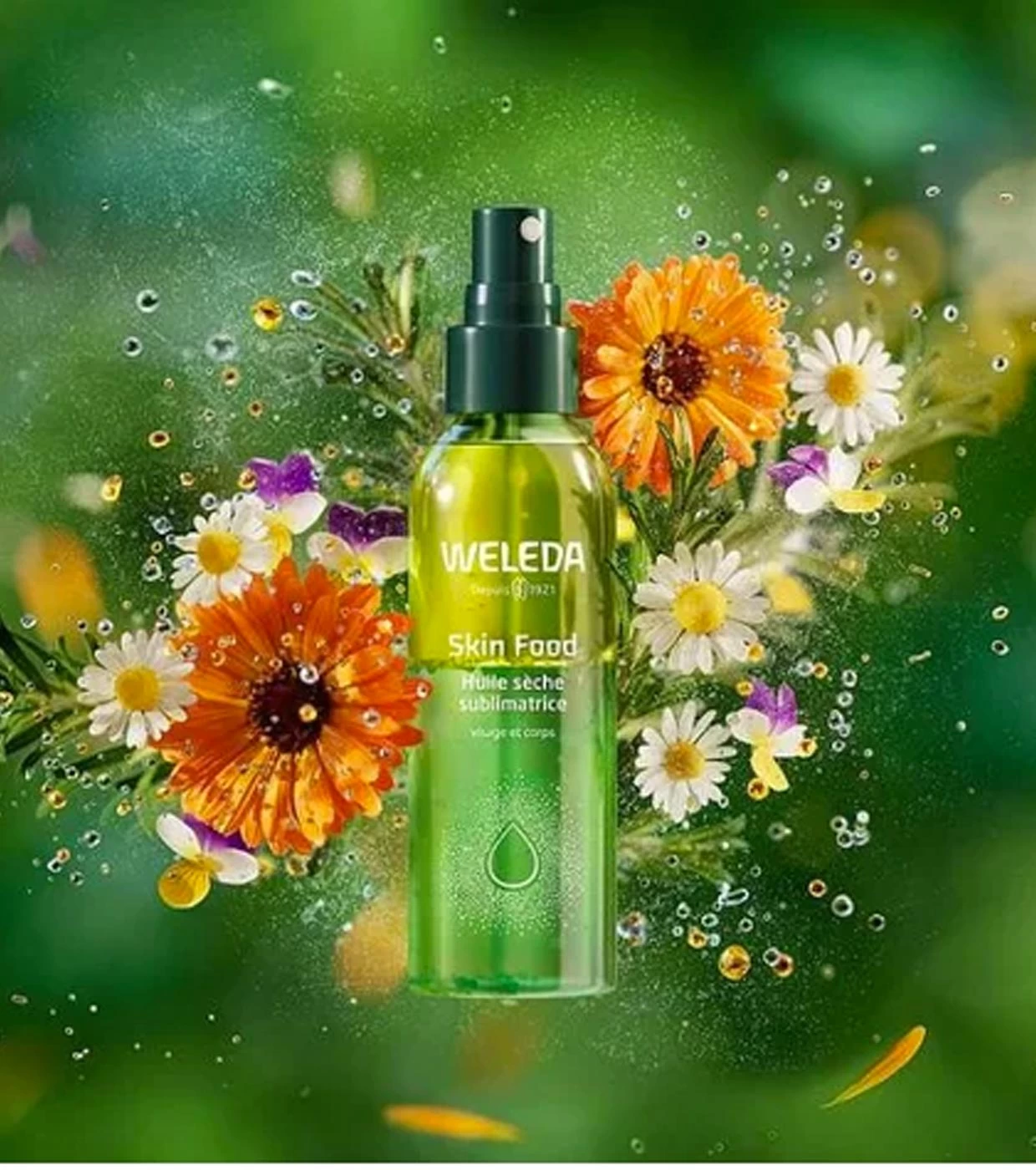 Weleda - Huile Sèche Ultra Légère Visage Et Corps Skin Food - Peau Normale Et Sèche – Image 6